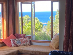 Above the Bay, Hahei